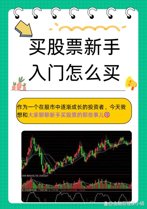 股票配资新手入门知识_股票配资风险与机遇分析_股票配资入门