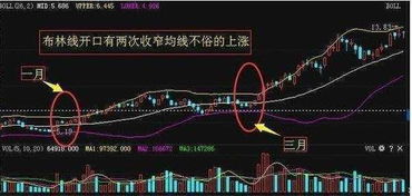 新手必看！购买B股股票全流程及开户指南，附投资技巧
