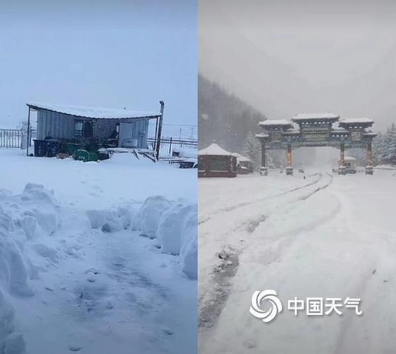 睿迎网_睿芽网阅网址是什么_睿迎网官方网站