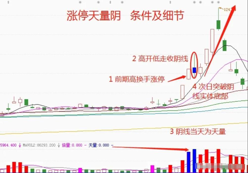 学炒股入门步骤_新手学炒股注意事项_炒股的技巧和方法